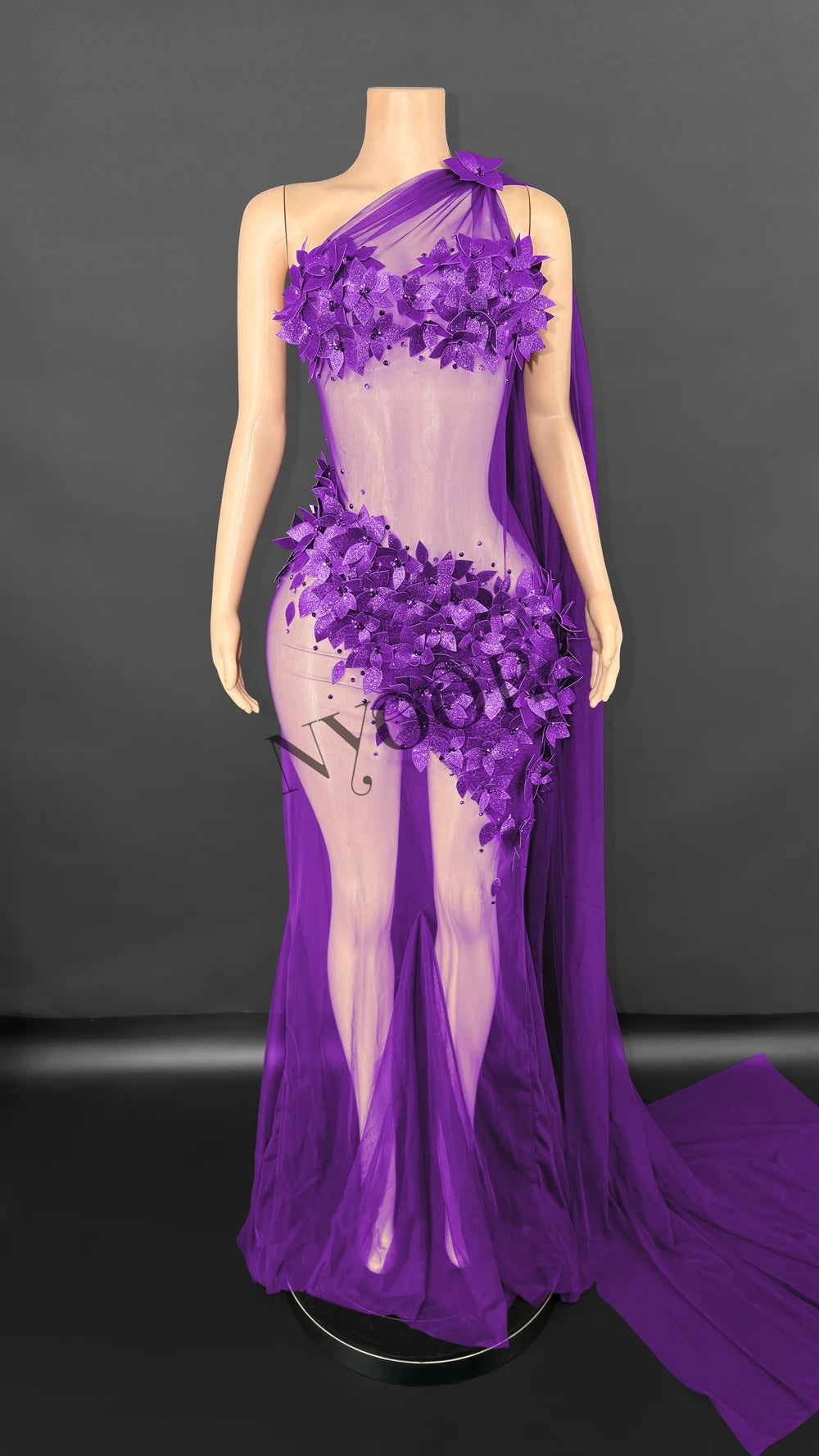 Sexy Sheer Tail Long Dress for Women Elegant Wedding Evening Prom Birthday Dress Photography Dress Singer Show Stage Wear